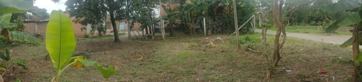 Palmira - Candelaria, San Isidro, Palmira, Valle del Cauca, Colombia 4